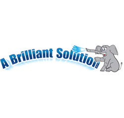 abs-250x238 A Brilliant Solution