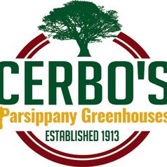 cerbo-250x238